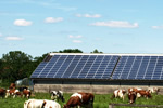 Henstedt Ulzburg, Landwirtschaft Selke -  kWp