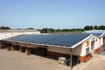 Ellerhoop, Baumschule Schuldt -  kWp